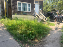 Load image into Gallery viewer, LAWN CARE