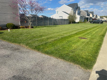 Load image into Gallery viewer, LAWN CARE